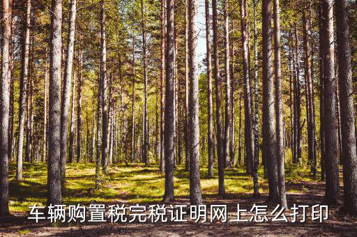 什么是購(gòu)置稅完稅證明，車輛購(gòu)置稅完稅證明是什么它在二手車交易中起什么作用