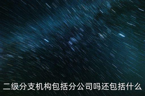 什么是二級(jí)分支機(jī)構(gòu)，現(xiàn)在分公司要辦稅務(wù)登記證但是我想問一下二級(jí)分機(jī)構(gòu)指的是