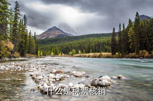 國(guó)稅局核銷是什么意思，增值稅專用發(fā)票核銷是什么意思
