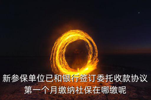 什么時候辦理授權(quán)劃繳協(xié)議，如何取得委托銀行劃轉(zhuǎn)地方稅費授權(quán)書協(xié)議書去銀行還是去地稅