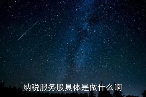 納稅服務(wù)股是什么意思，納稅服務(wù)股具體是做什么啊