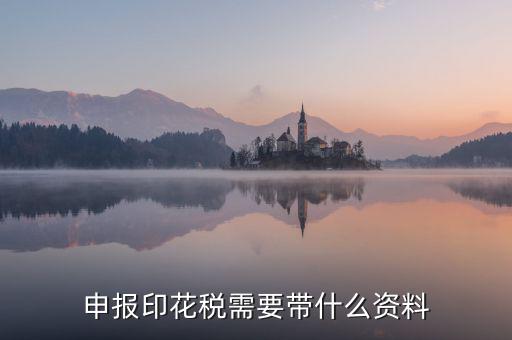 辦理印花稅退稅要帶什么資料，辦理退稅賬號銀行開戶印鑒卡需要提交什么資料急急急
