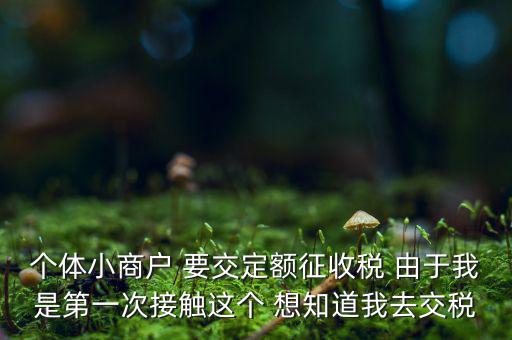 定額納稅到什么地方繳，定額征收的個(gè)體需繳納什么地稅