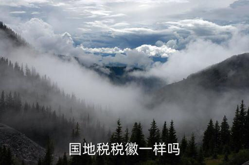 國(guó)稅局肩上的稅徽象征什么，國(guó)稅稅收完稅憑證右上角代表什么意思