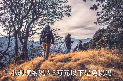 3萬(wàn)以下免稅是什么意思，小規(guī)模納稅人3萬(wàn)元以下是免稅嗎