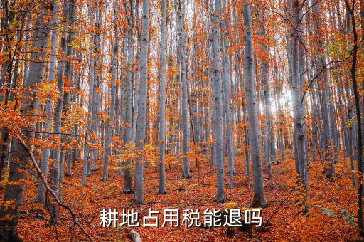 耕地占用稅什么情況可以退，占用耕地罰款后拆遷還能退嗎
