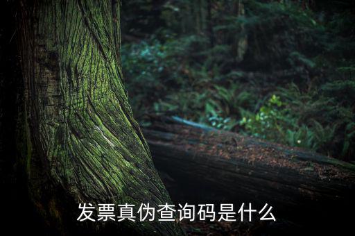 網(wǎng)絡(luò)發(fā)票查詢號是什么，發(fā)票真?zhèn)尾樵兇a是什么