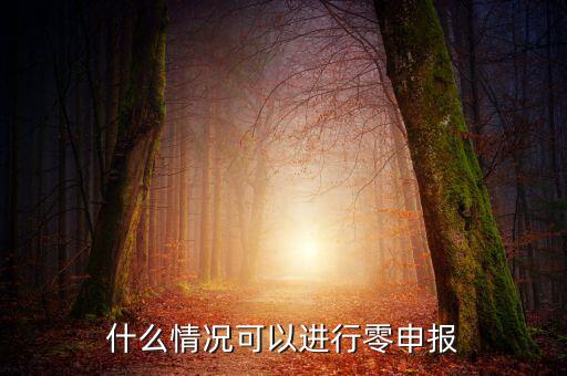 什么情況下可以一鍵零申報(bào)，什么情況可以進(jìn)行零申報(bào)