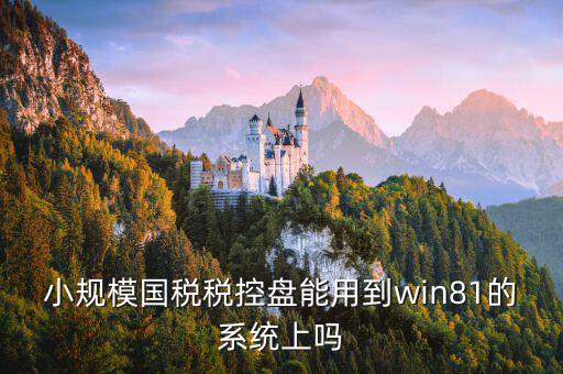 稅盤(pán)安裝支持什么系統(tǒng)下載，稅控發(fā)票開(kāi)票軟件v2130170612能在win10上安裝嗎