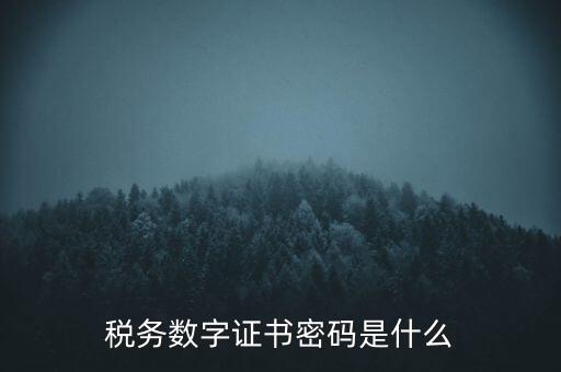 輸入稅務(wù)數(shù)字證書密碼是什么，稅務(wù)數(shù)字證書密碼是什么