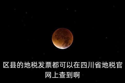 四川省網(wǎng)上稅務(wù)局用什么服務(wù)器，區(qū)縣的地稅發(fā)票都可以在四川省地稅官網(wǎng)上查到啊