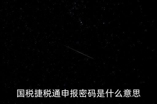 稅務(wù)軟件申報(bào)密碼是什么意思，納稅申報(bào)密碼是什么