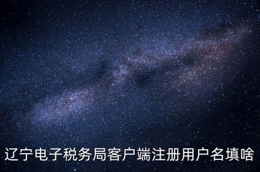遼寧省網(wǎng)上稅務(wù)局登錄需要什么，遼寧電子稅務(wù)局客戶端注冊用戶名填啥