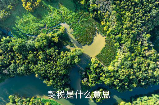 契稅申報(bào)什么意思，契稅申報(bào)和申領(lǐng)的區(qū)別