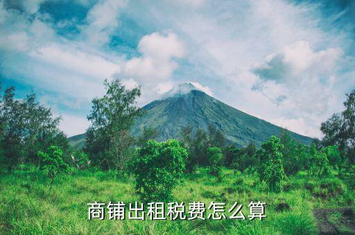 商鋪出租需要什么稅，出租商鋪的商業(yè)企業(yè)要繳納那些稅種