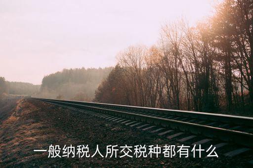 什么是納稅人稅種，一般納稅人所交稅種都有什么