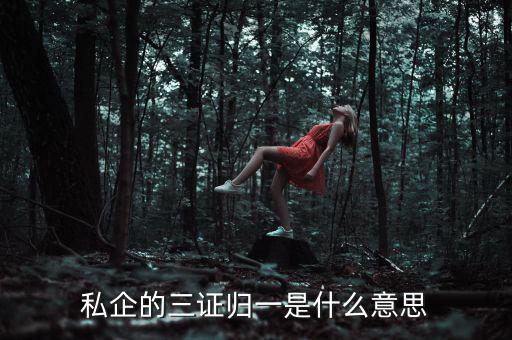 公司的三證合一是什么，什么是三證合一
