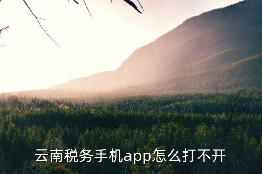 云南省網(wǎng)上稅務(wù)局為什么進不去，請問電子稅務(wù)局登不上去怎么回事