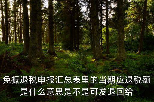 免抵退貨物應(yīng)退稅額是什么意思，免抵退應(yīng)退稅額是什么意思