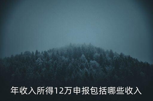 十二萬(wàn)申報(bào)是什么，12萬(wàn)個(gè)稅申報(bào)有什么用