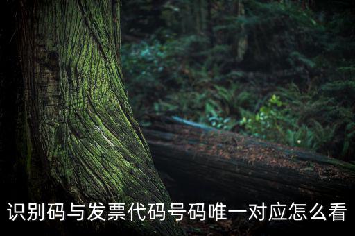 發(fā)票查詢識(shí)別碼是什么，識(shí)別碼與發(fā)票代碼號(hào)碼唯一對(duì)應(yīng)怎么看