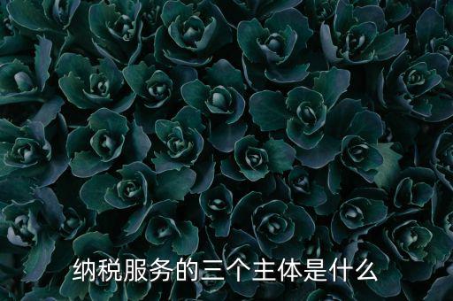 納稅服務 是什么，納稅服務的三個主體是什么