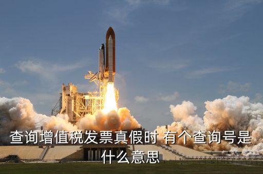 查詢增值稅發(fā)票真假時(shí) 有個(gè)查詢號(hào)是什么意思