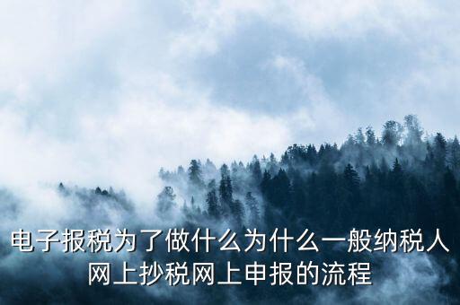 電子稅務(wù)申報(bào)是什么來的，電子申報(bào)納稅是怎么回事給報(bào)送紙質(zhì)申報(bào)材料一樣嗎