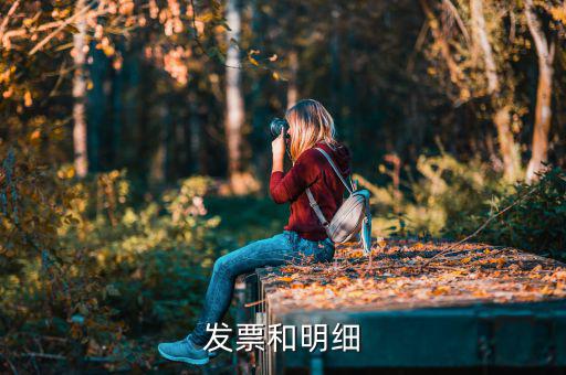 發(fā)票中的明細(xì)是什么意思，發(fā)票的明細(xì)條數(shù)控制在2000條是什么意思