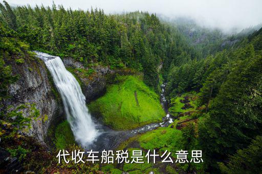 代收車(chē)船稅是什么意思