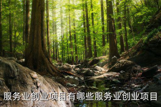 服務(wù)業(yè)有什么進(jìn)項，服務(wù)業(yè)營改增哪些可以抵扣