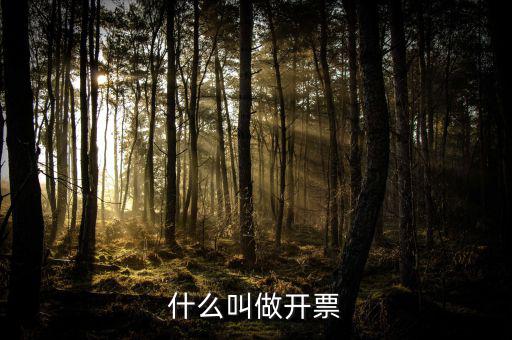 什么叫開票，開票是什么意思