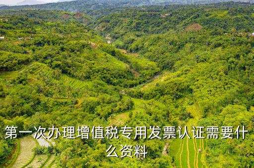 發(fā)票認證需要注意什么手續(xù)，第一次辦理增值稅專用發(fā)票認證需要什么資料