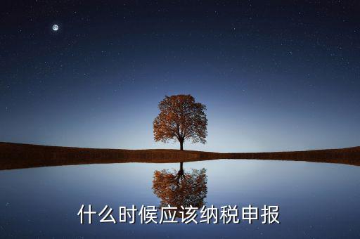 消費稅什么時候申報，什么時候應(yīng)該納稅申報