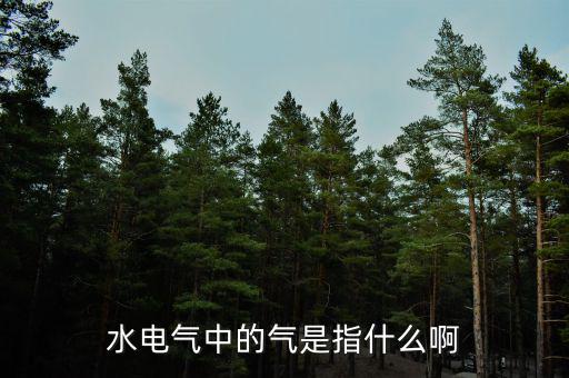 水電氣退稅氣指什么，公租房的水電氣的氣是指什么