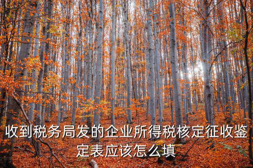 去稅務(wù)局核定征收填什么，核定征收企業(yè)報(bào)所得稅在去稅務(wù)局核定時需要拿什么資料