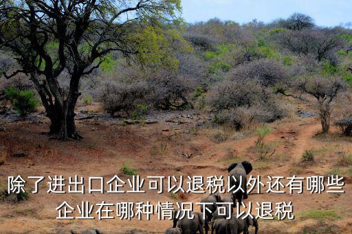 中國什么公司可以退稅，除了進出口企業(yè)可以退稅以外還有哪些企業(yè)在哪種情況下可以退稅