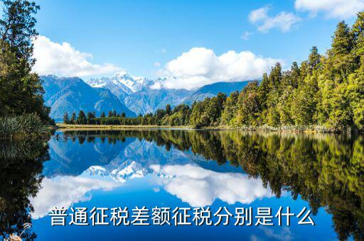 差額征收和簡易征收有什么區(qū)別，什么是差額征收