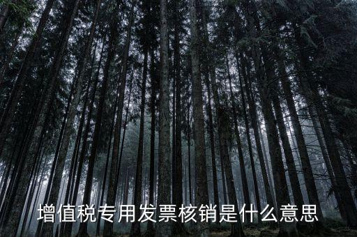 發(fā)票管家是什么，發(fā)票開票系統(tǒng)KEY是什么