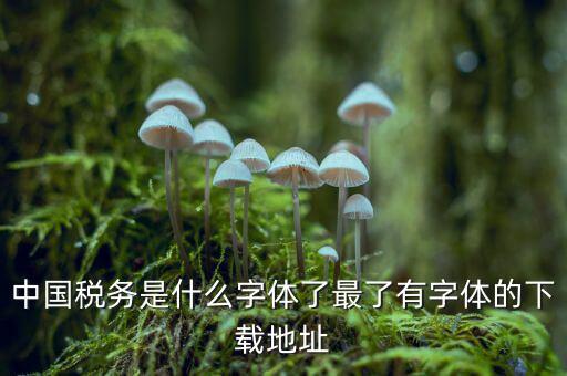 中國(guó)稅務(wù)是什么字體，中國(guó)稅務(wù)是什么字體了最了有字體的下載地址