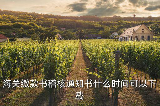 海關(guān)繳款書(shū)稽核通知書(shū)什么時(shí)間可以下載