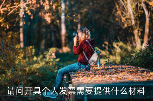 個人發(fā)票需要什么資料，個人購物開增值稅普通發(fā)票需要什么資料