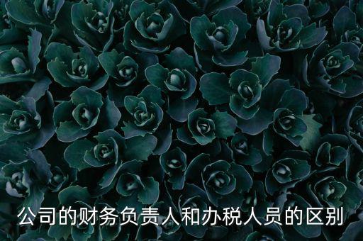 公司的財務(wù)負責人和辦稅人員的區(qū)別
