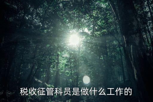 國稅局征管員和企業(yè)要做什么，稅收征管的公務員主要做什么工作