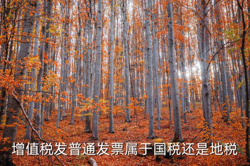 普通發(fā)票是什么稅，普通發(fā)票是國稅發(fā)票嗎