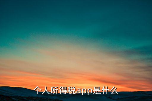 網(wǎng)上交稅要下載什么東西，個人所得稅官網(wǎng)登錄企業(yè)個人所得稅要下載什么端口申報