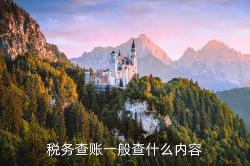 稅務(wù)專項(xiàng)檢查查什么，稅務(wù)檢查主要有哪些內(nèi)容