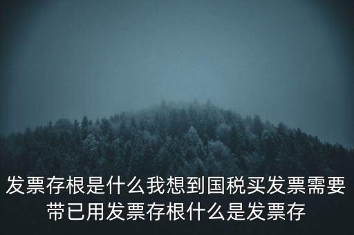 發(fā)票電子存根是什么，發(fā)票存根是什么