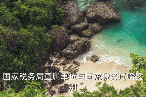 國稅局直屬單位是什么意思，國稅局是什么單位