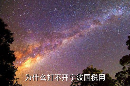 寧波國(guó)稅app為什么登陸不上，為什么打不開(kāi)寧波國(guó)稅網(wǎng)